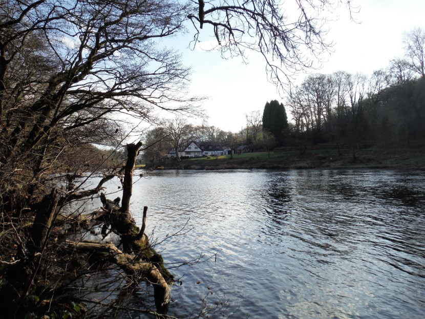 Upper Wye at Pwll y Faedda
